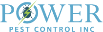 Pest Control Toronto - Blog